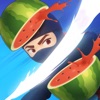 Fruit Ninja Adventures