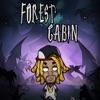 Forest Cabin: Survive