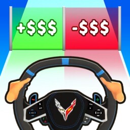 Steering Wheel Evolution Enjoy