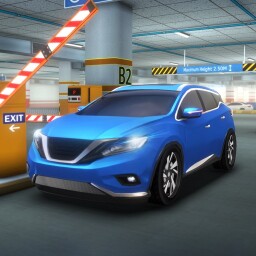 DrivingTest Enjoy