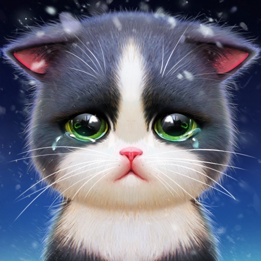 KittenMatch