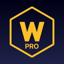 Wallcraft Pro