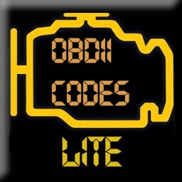 OBDII Codes Enjoy