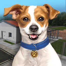 Animal Shelter Simulator Enjoy