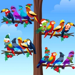 Bird Sort - Color Puzzle Enjoy