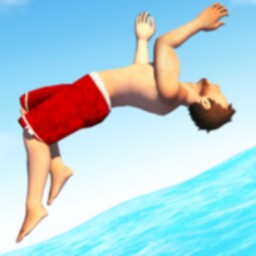 Flip Diving Enjoy