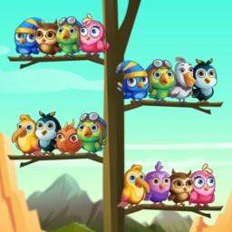 Bird Sort Puzzle Enjoy