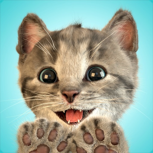 LittleKitten1