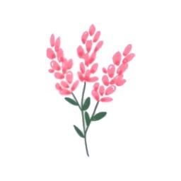 Fleur Enjoy